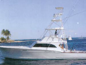 Photo of the 37 51' Dream Girl 1982