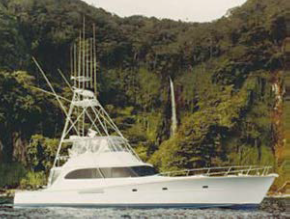 Photo of the 53 65' Misguided 1993