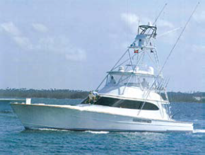 Photo of the 98 66' My Lynn 2012