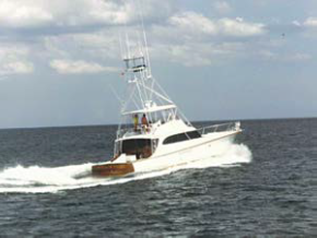 Photo of the 56 65' Tyson’s Pride 1995